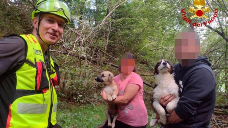 Gasilci iz soteske rešili pasji mladički