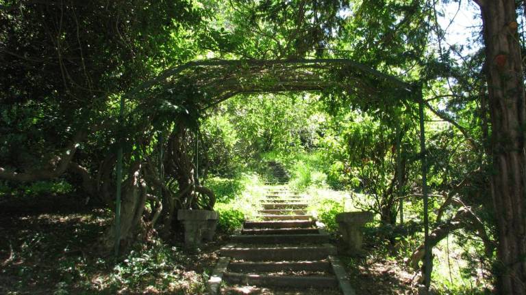 Obnova Laščakove vile se začenja pri parku in strehi