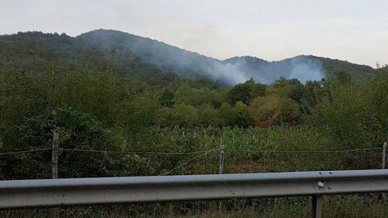 Med Samatorco in Trnovco gori
