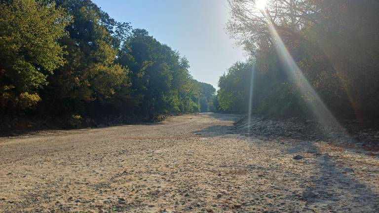Soča pri sotočju z Vipavo poponoma presahnila (VIDEO)