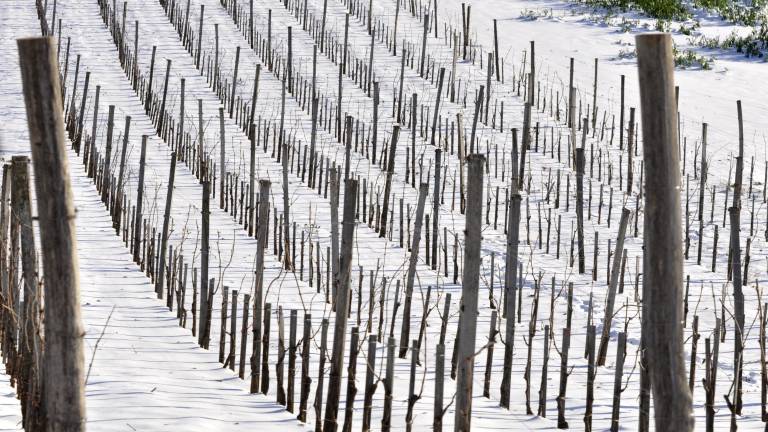 Otoplitev bo povzročala težave