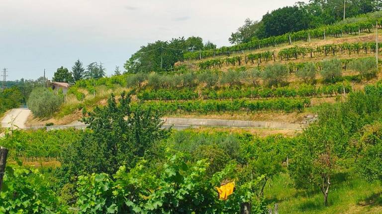 Začenja se sanacija plazu na Valerišču