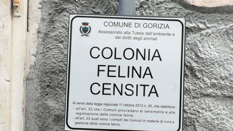 Gori&scaron;ka občina &raquo;pozabila&laquo; na dvojezičnost