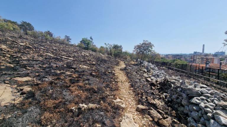 Še naprej nadzirajo pogorišče