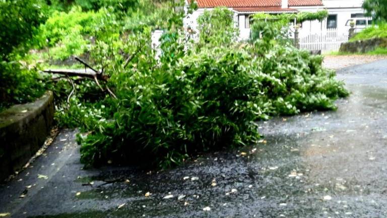 Žičnica bi škodljivo vplivala na zdravje številnih ljudi