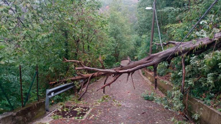 Zaradi močne burje na delu vse razpoložljive gasilske enote