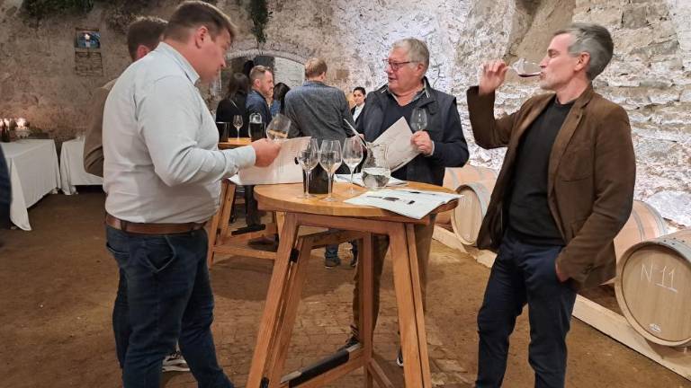 Dobrodelna dražba v korist samostana Kostanjevica