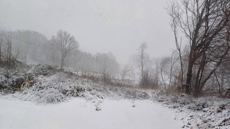 Močno sneži tudi od Ravnice proti Lokvam (foto in video)
