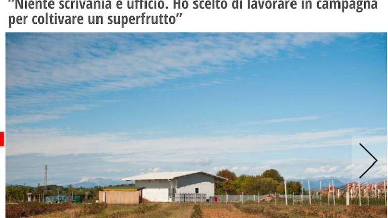 Il Fatto Quotidiano o gori&scaron;ki aroniji