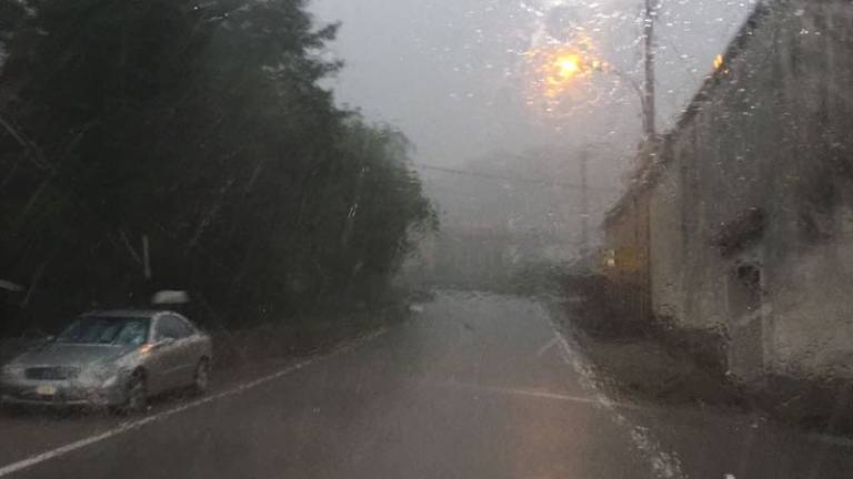 Neurja na Gori&scaron;kem in v trža&scaron;kem bregu