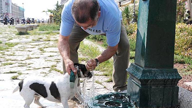 Živo srebro se bo povzpelo do 36&deg;C