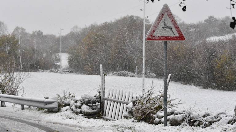 V Gročani od 15 do 25 cm snega?