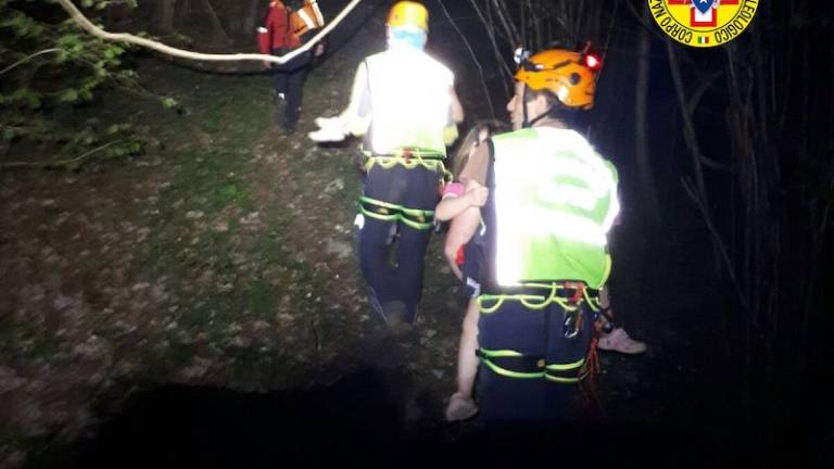 &Scaron;tiriletni dvojčici so na&scaron;li v gozdu