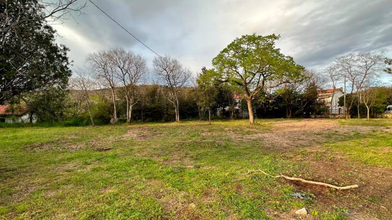 Park Plesove posesti naj bo na razpolago skupnosti