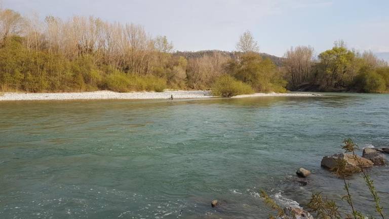 »Zeblo« tudi postrvi