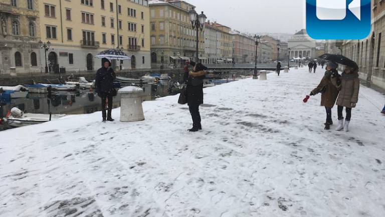 Sneg je pobelil Trst