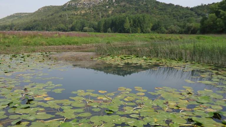 Prepovedali ribolov v Doberdobskem jezeru