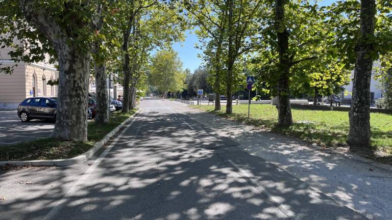 Napovedujejo začetek del kar na štirih lokacijah