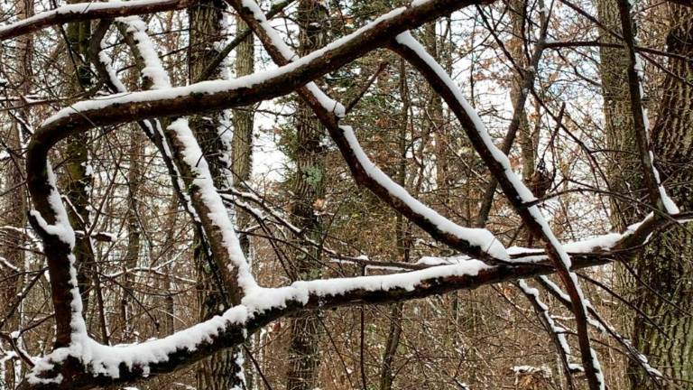 Zimska pokrajina nad Gročano
