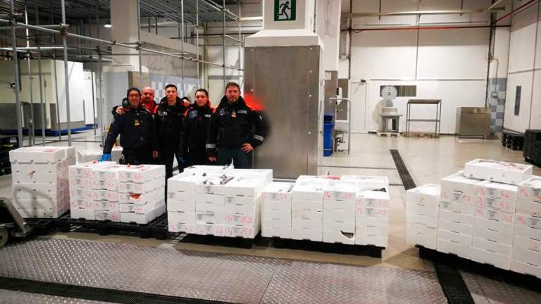 Pri Rabujezu zasegli tono rib