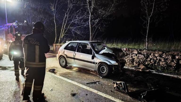 Med Opčinami in Trebčami avtomobila čelno trčila