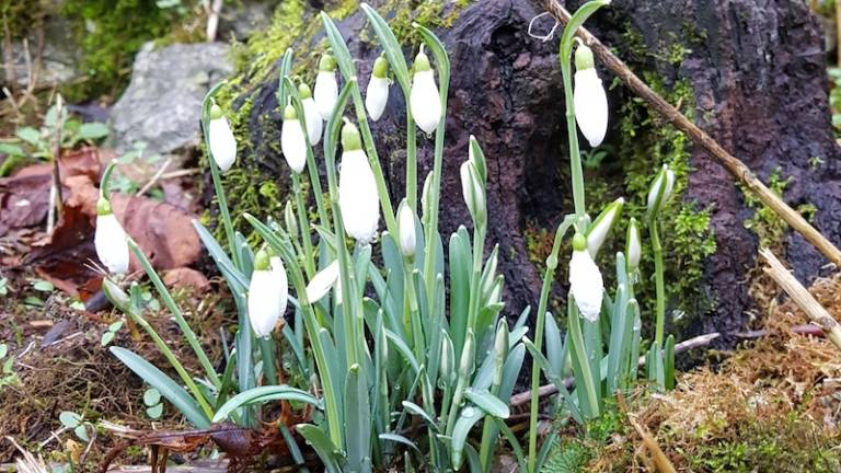 Pomlad ni več daleč