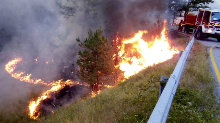 Med Divačo in Rodikom se je z ognjem borilo 90 gasilcev