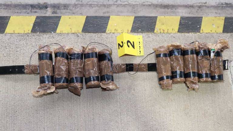 Kaj je povzročilo paniko na Dragonji