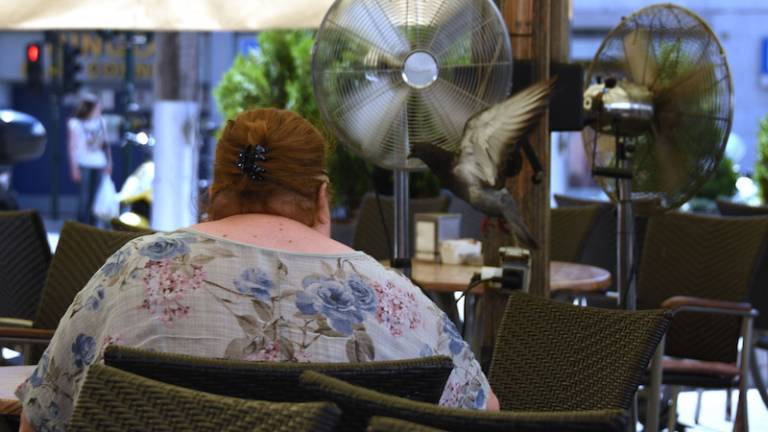 Kako se Tržačani branijo pred vročino