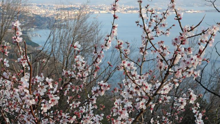 Zadi&scaron;alo bo po pomladi