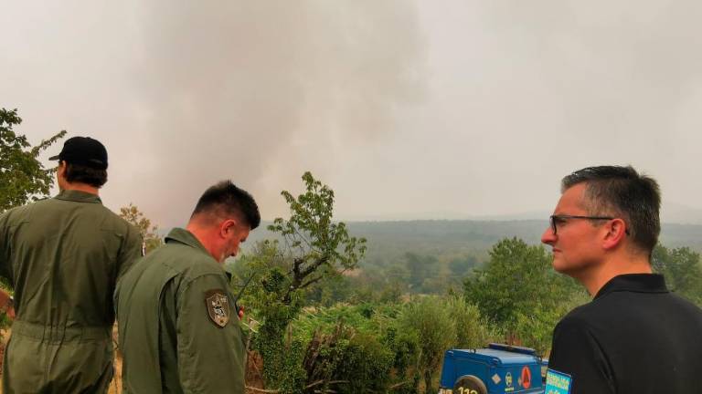 Požara na goriškem Krasu bi se lahko združila