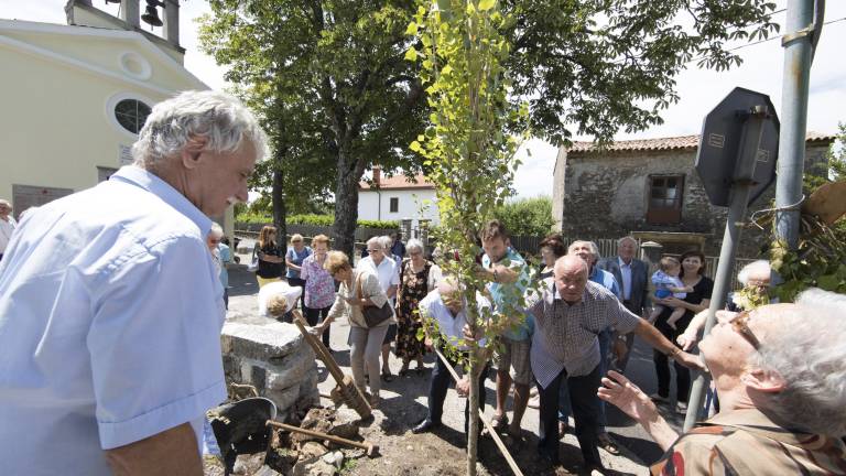 Na Padričah vsadili topol