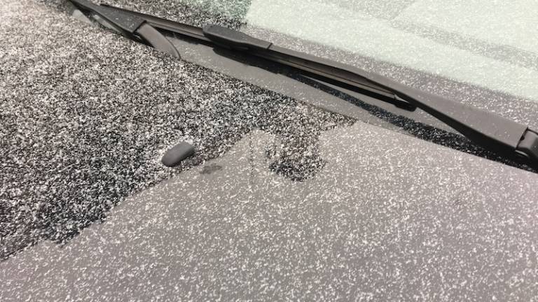 Prebudili smo se s snežinkami