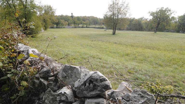 Priziv proti prostorskemu načrtu Občine Trst