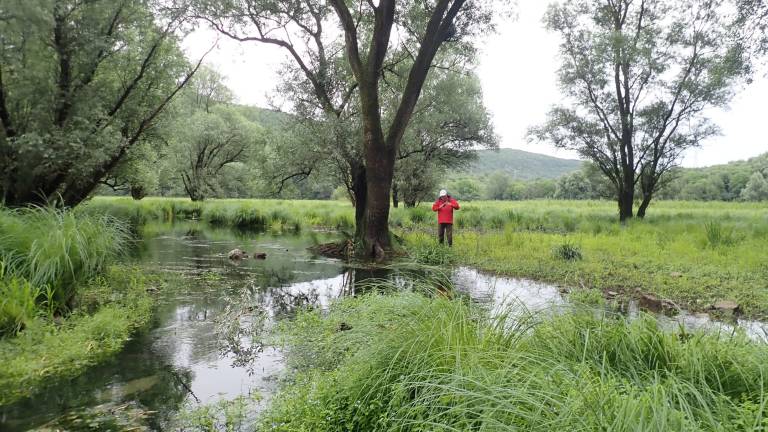 Voda iz jezera odteka proti Timavi