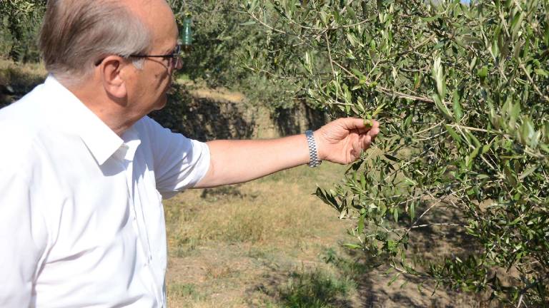 Kmetje v boju proti su&scaron;i