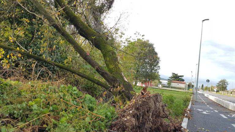 Nočno neurje povzročilo škodo v Sovodnjah