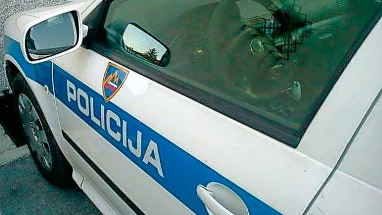 Sprehajal psa na pol gol