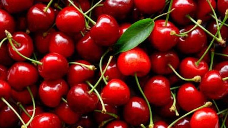 &raquo;Zelena mafija&laquo; služi na račun bri&scaron;kih kmetov