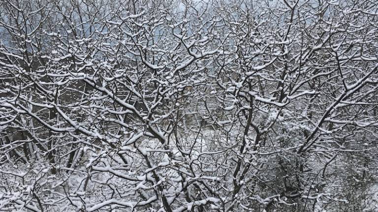 S sibirskim vetrom od nedelje strupen mraz in ni konec