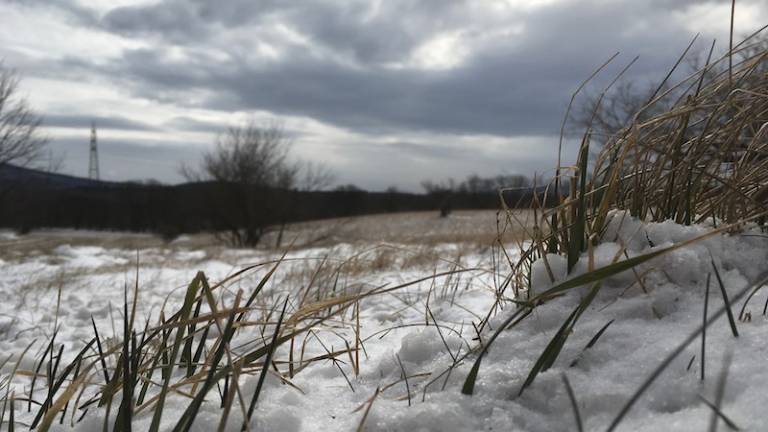 Vremenska slika je kompleksna: možno je marsikaj