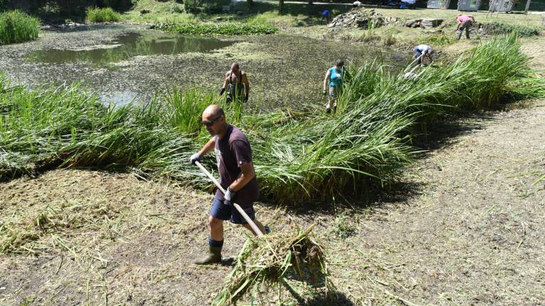 Mlaka je kot akvarij: zanjo je treba redno skrbeti