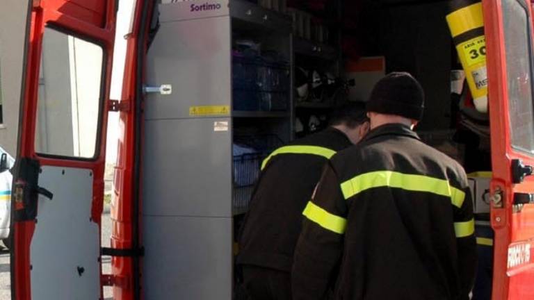 Zdrs v gozdiču usoden za 38-letnika