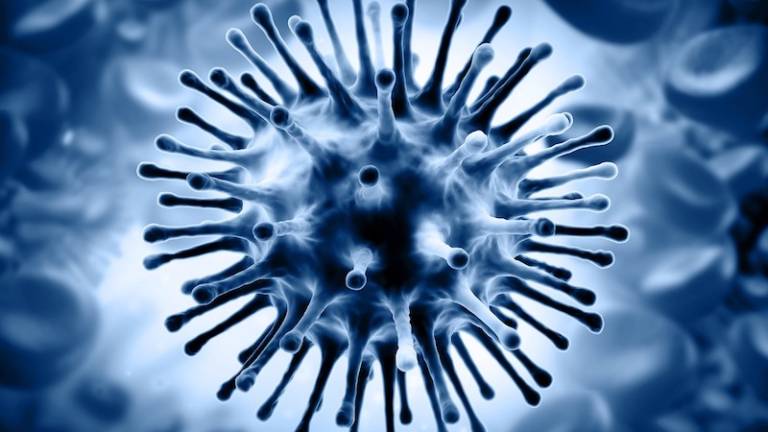 Virus B Yamagata se je pojavil nepričakovano