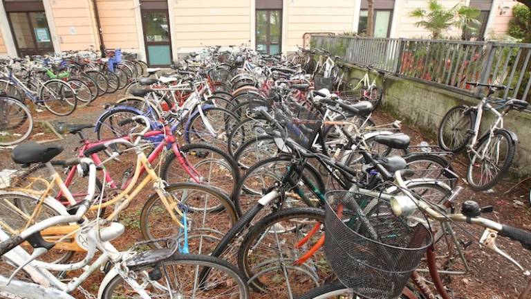 Tatovi koles spet na delu