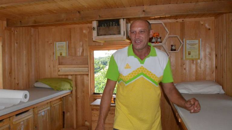 Pomirjujoče brenčanje in zdravilni čebelji piki