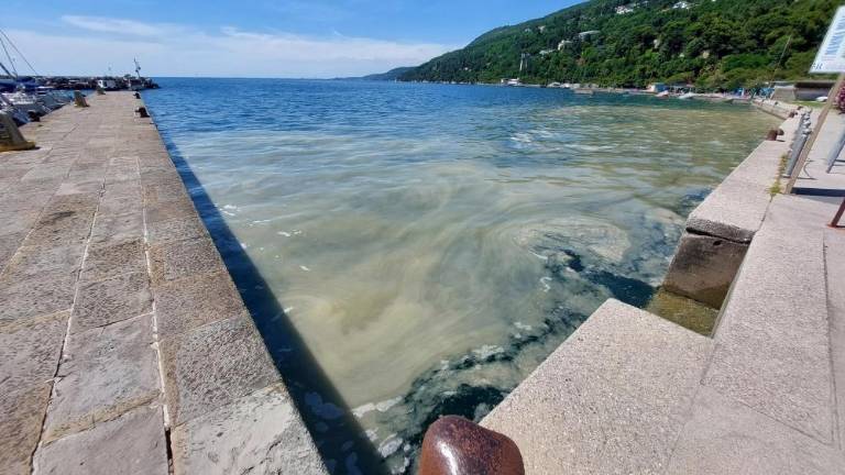 Morje se je obarvalo v rumeno-rjavo barvo