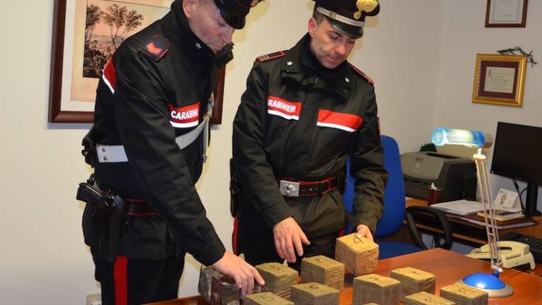 Pri Mo&scaron;čenicah zasegli 12 kg ha&scaron;i&scaron;a