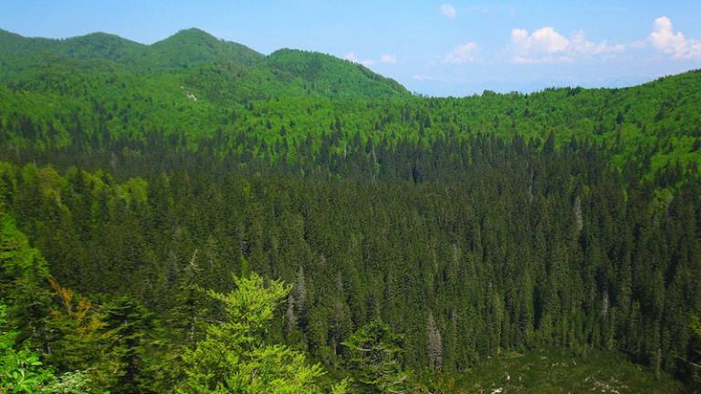 Visoke koncentracije ozona