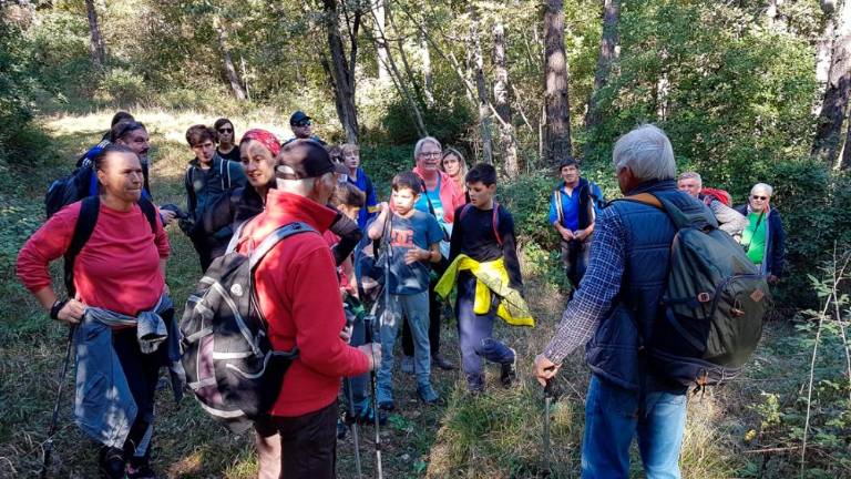 »Kostanjada« SPDG na Vrhu